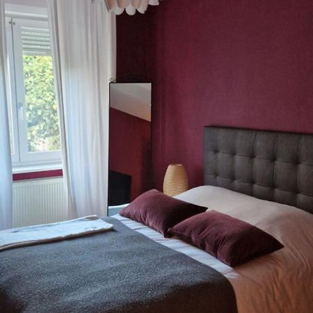 Cosy Appartement Complet Centre-Ville Montbeliard Bagian luar foto